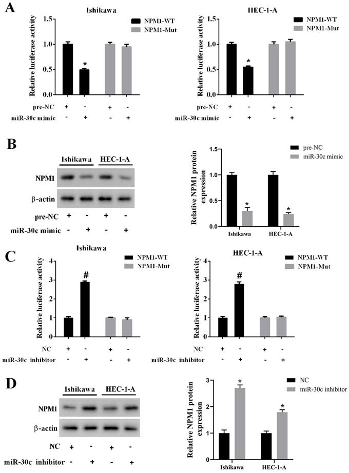 J Cancer Image