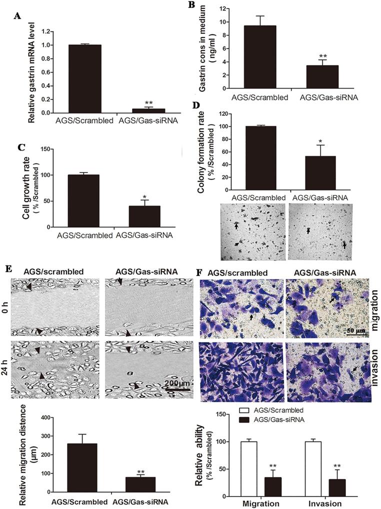 J Cancer Image