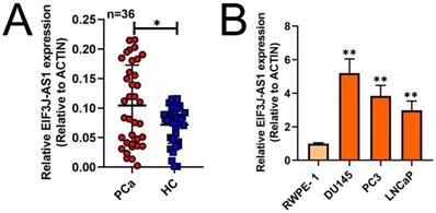 J Cancer Image