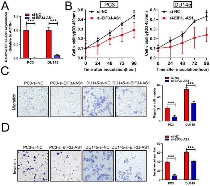 J Cancer Image