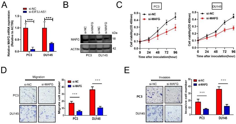 J Cancer Image