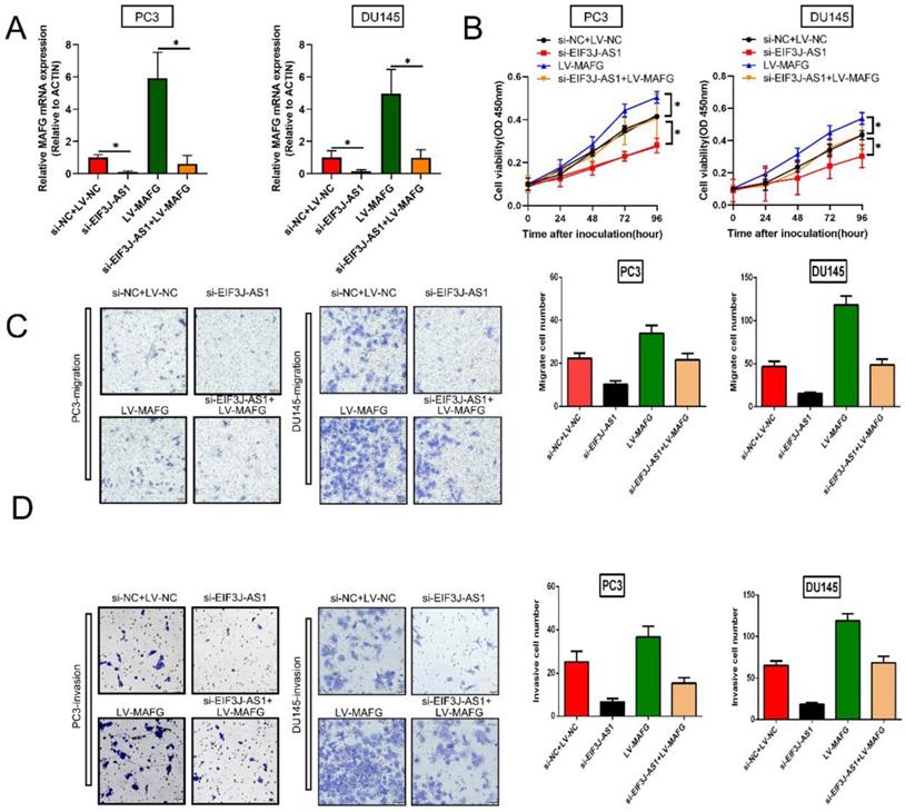 J Cancer Image