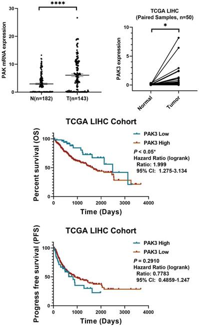 J Cancer Image