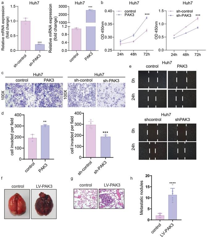 J Cancer Image