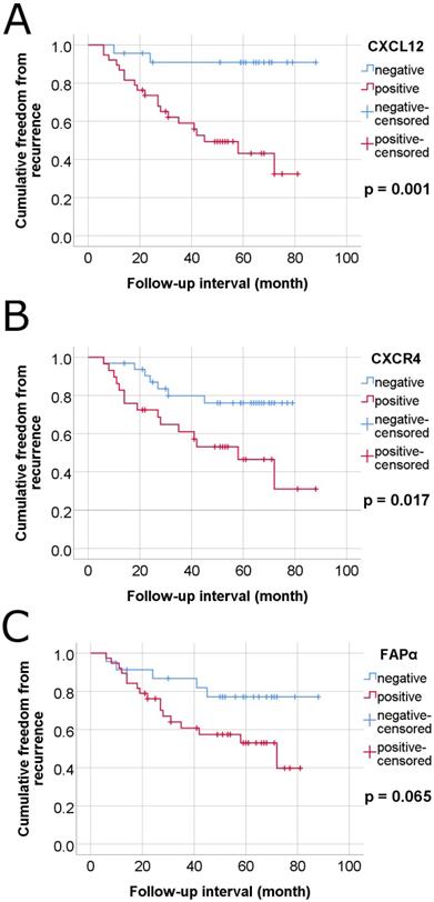 J Cancer Image