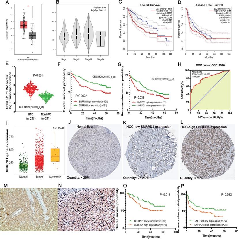 J Cancer Image