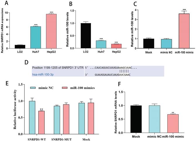 J Cancer Image