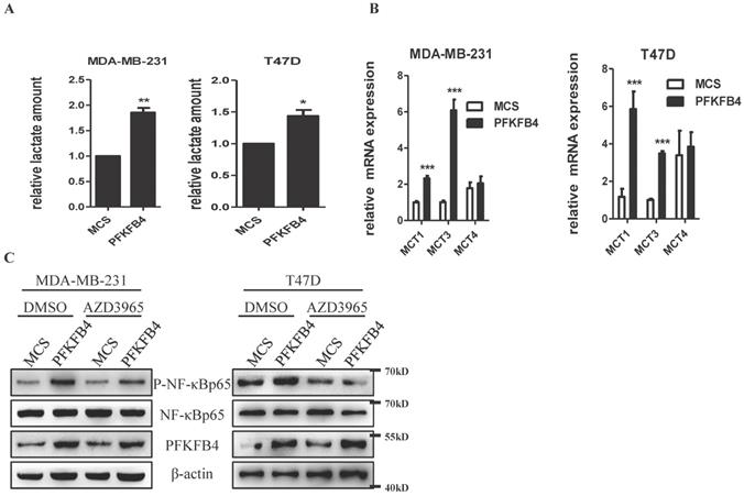 J Cancer Image