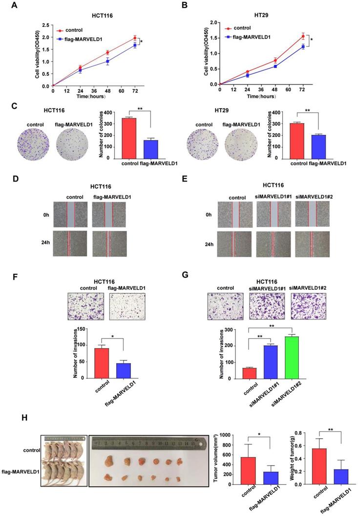 J Cancer Image