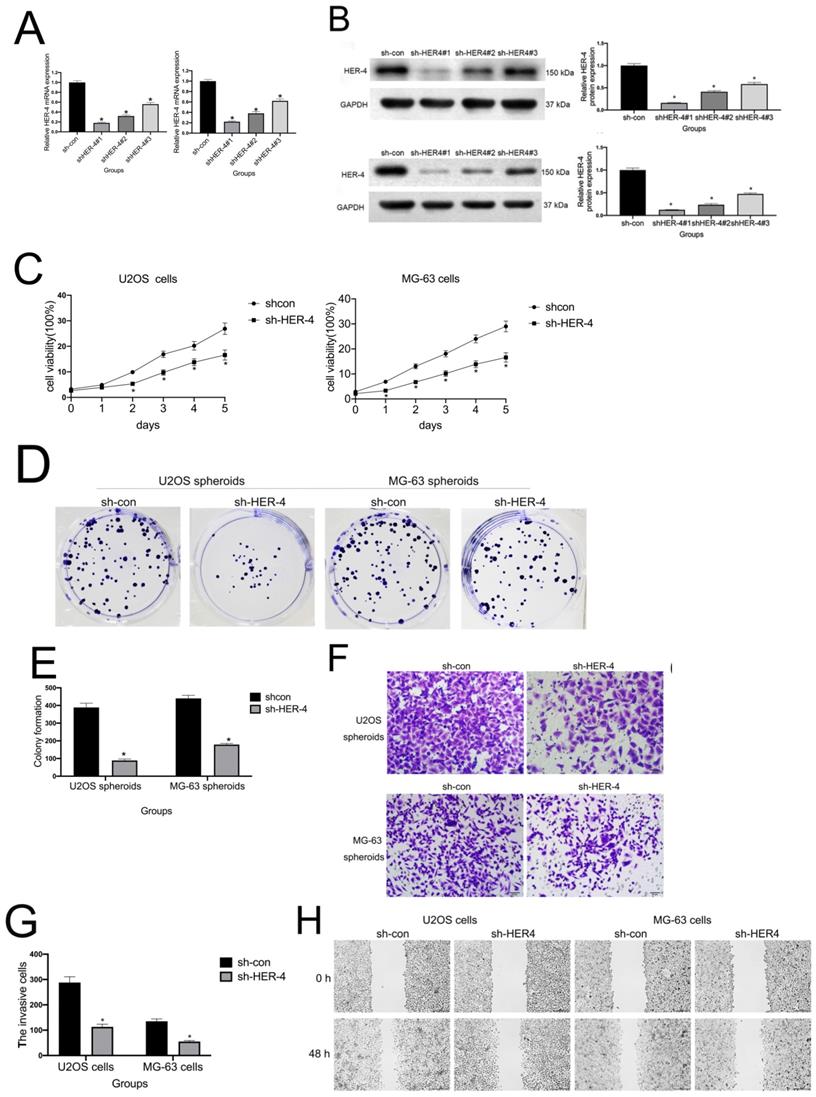 J Cancer Image