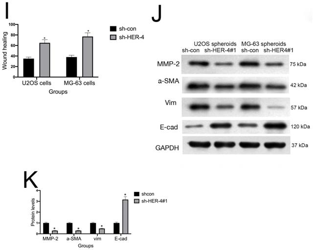 J Cancer Image