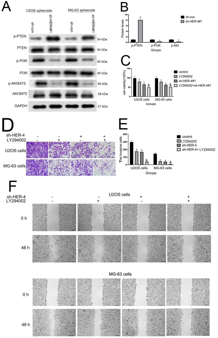 J Cancer Image