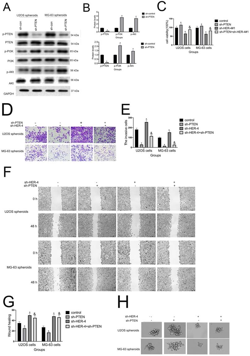 J Cancer Image