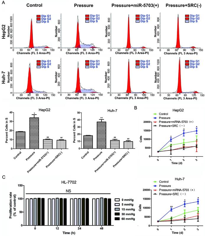 J Cancer Image