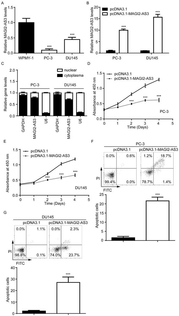 J Cancer Image