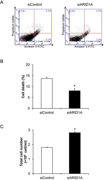 J Cancer Image