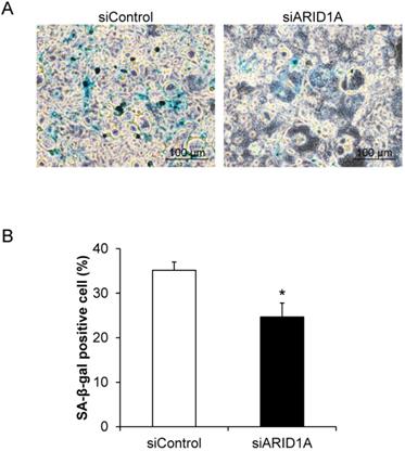 J Cancer Image