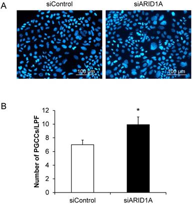 J Cancer Image