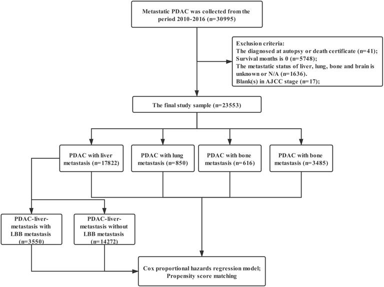 J Cancer Image