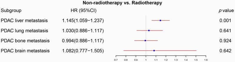 J Cancer Image