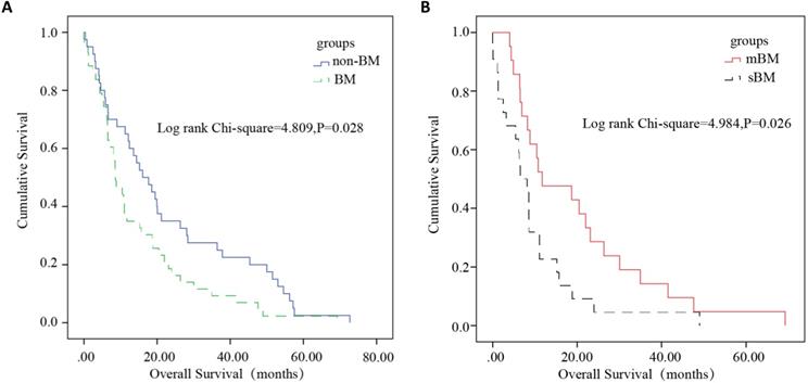 J Cancer Image