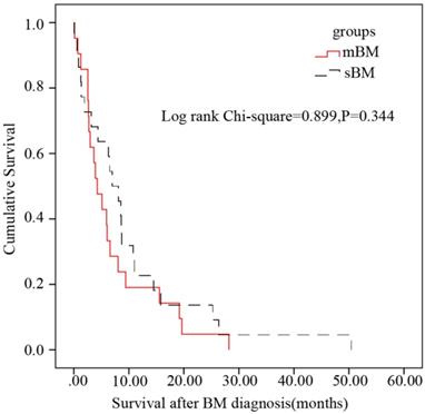 J Cancer Image