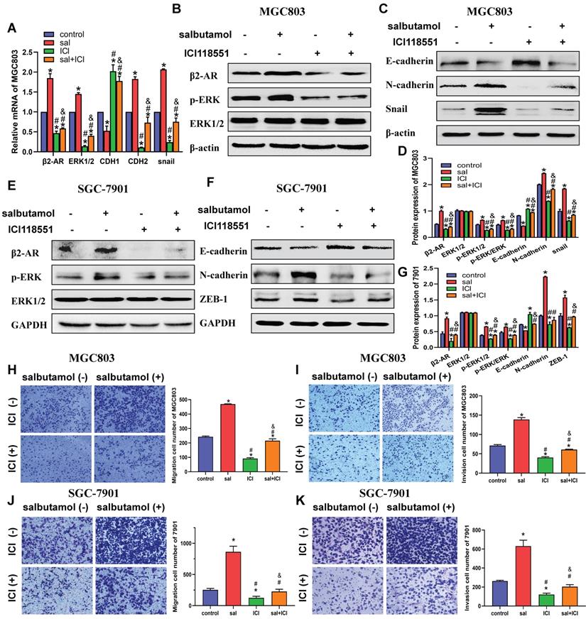 J Cancer Image