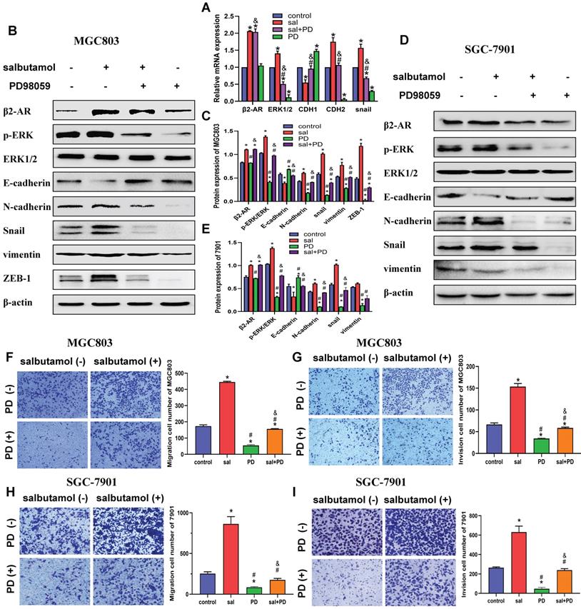 J Cancer Image