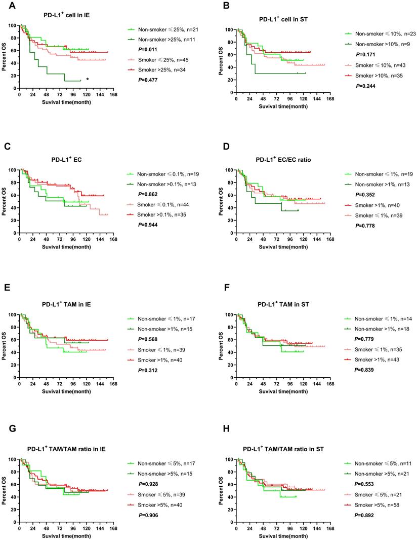 J Cancer Image