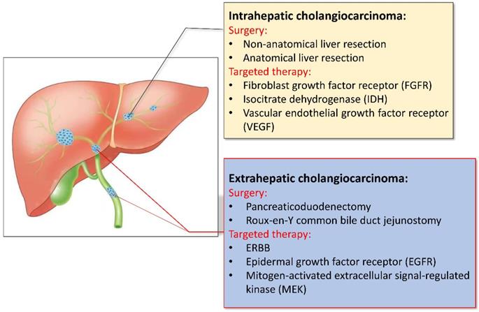 J Cancer Image