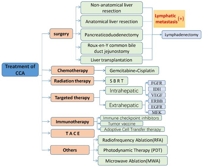 J Cancer Image