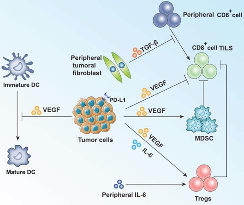 J Cancer Image