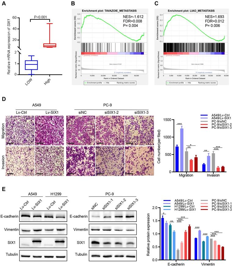 J Cancer Image