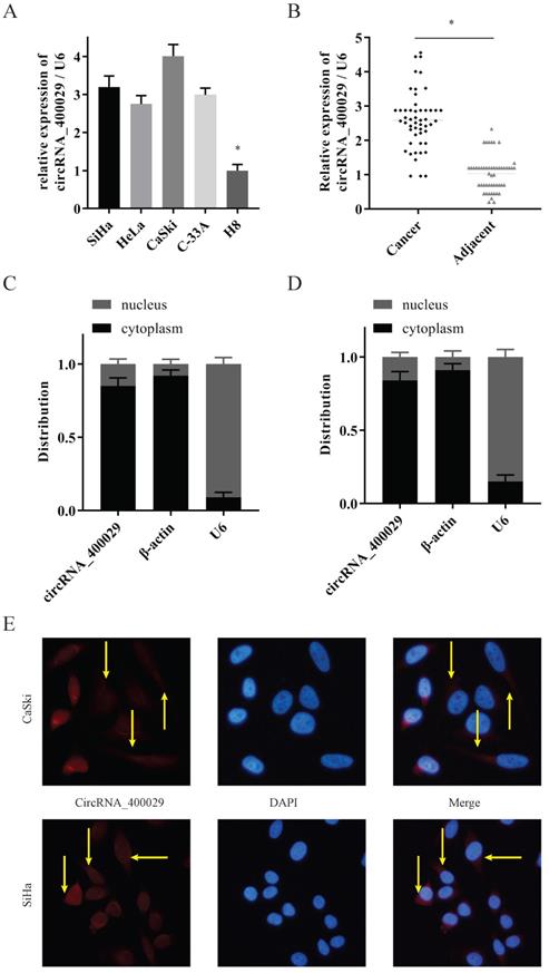 J Cancer Image