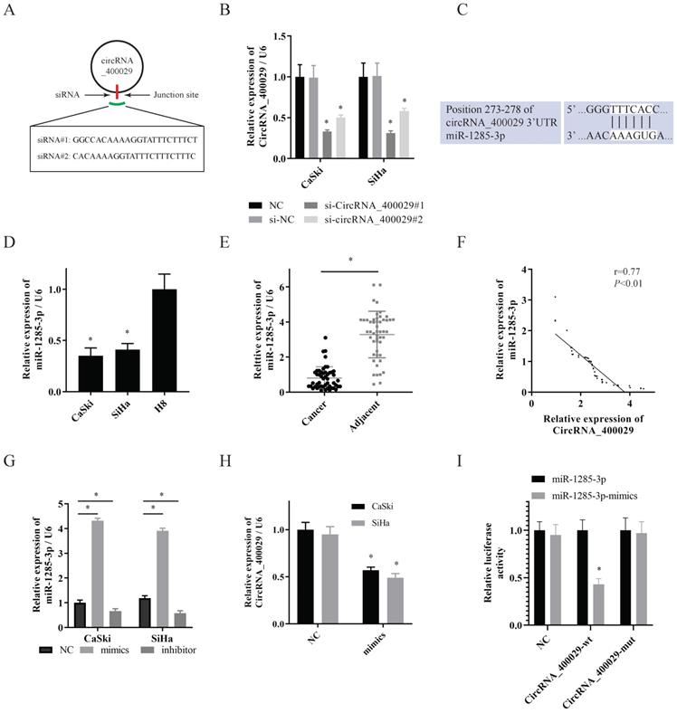 J Cancer Image