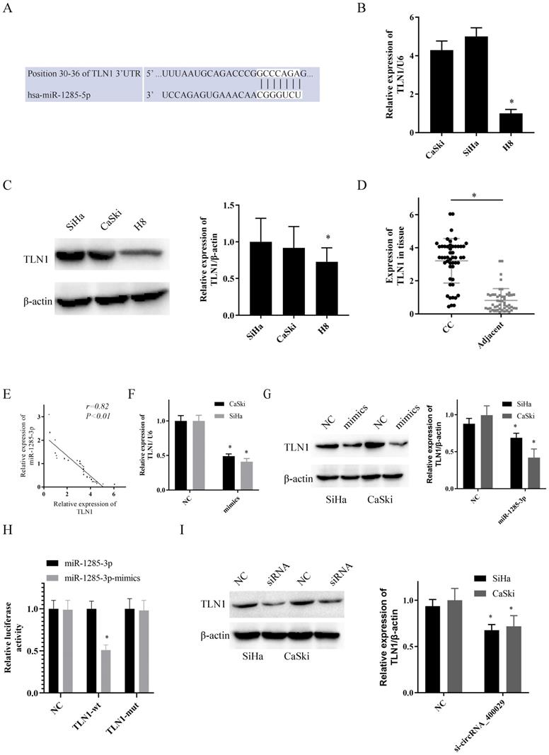 J Cancer Image