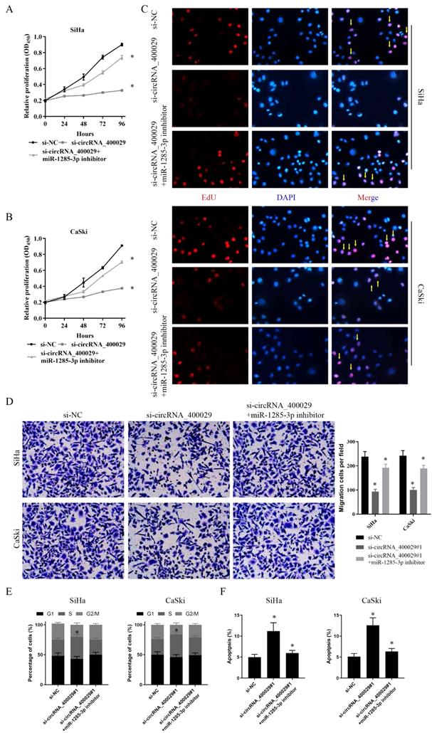 J Cancer Image