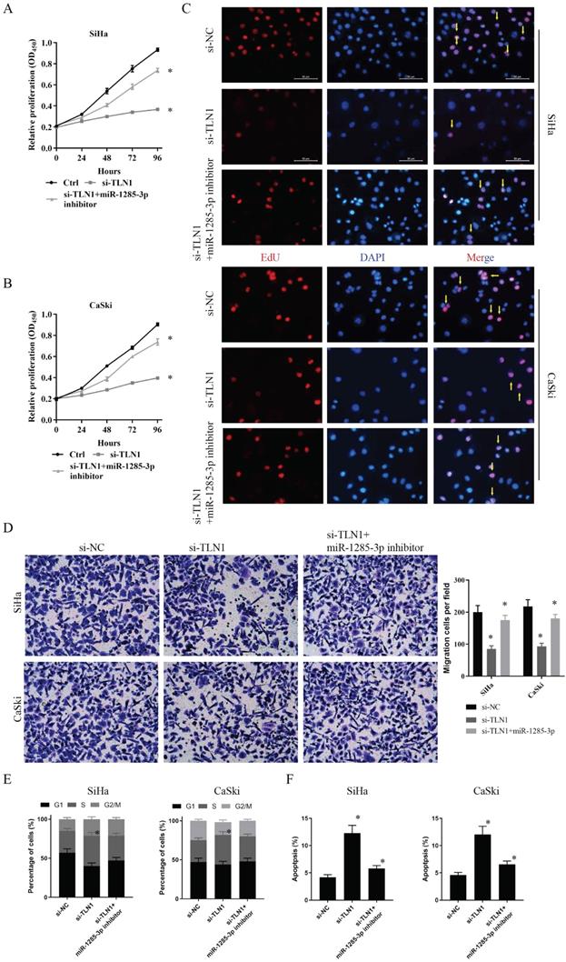 J Cancer Image