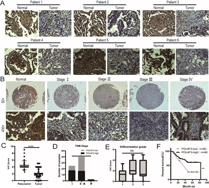 J Cancer Image