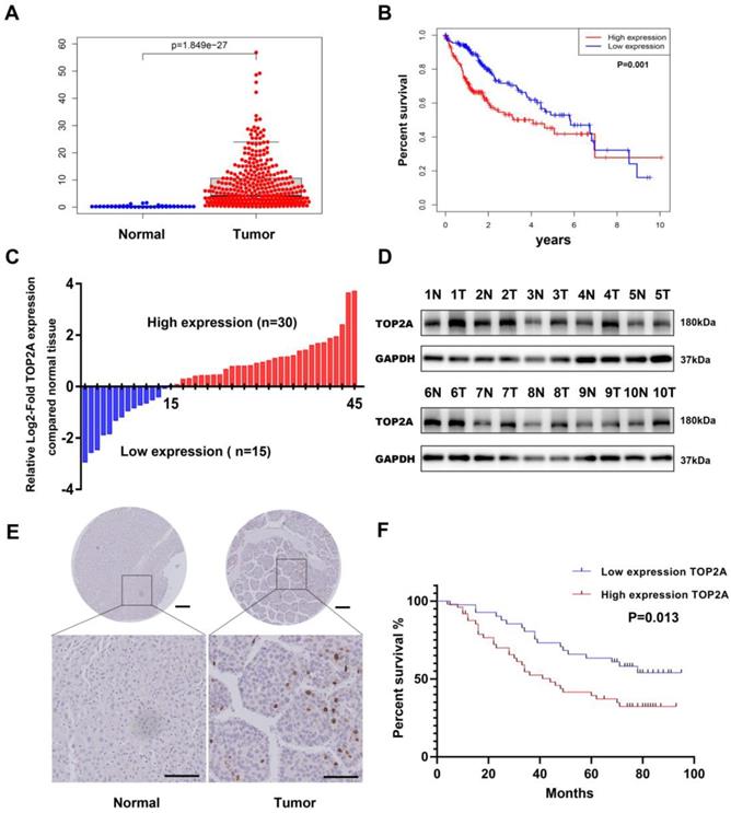 J Cancer Image