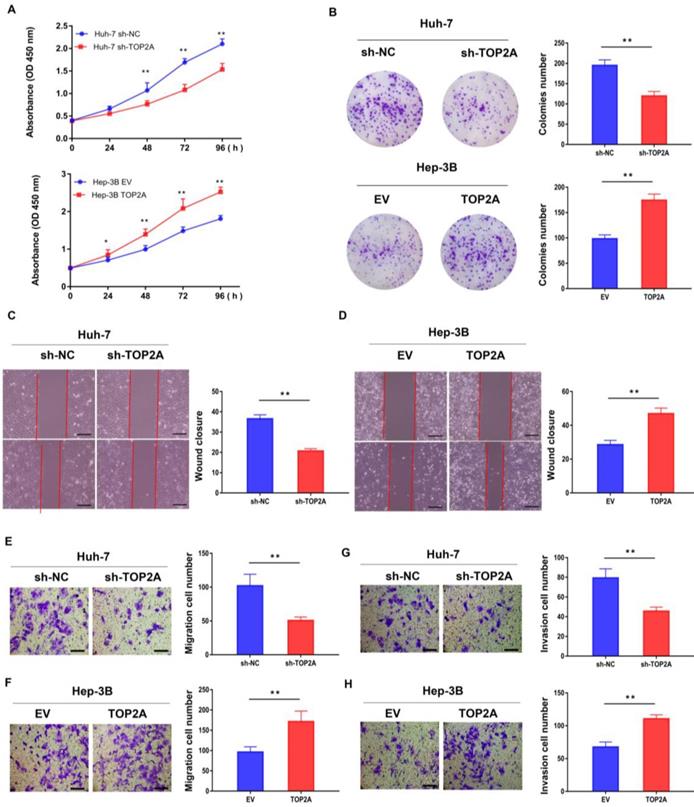 J Cancer Image