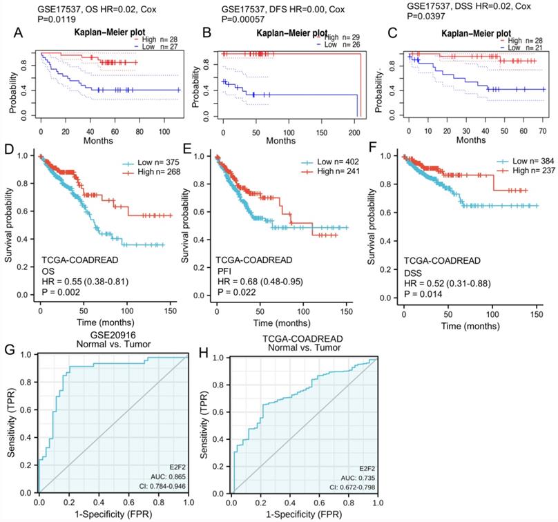 J Cancer Image