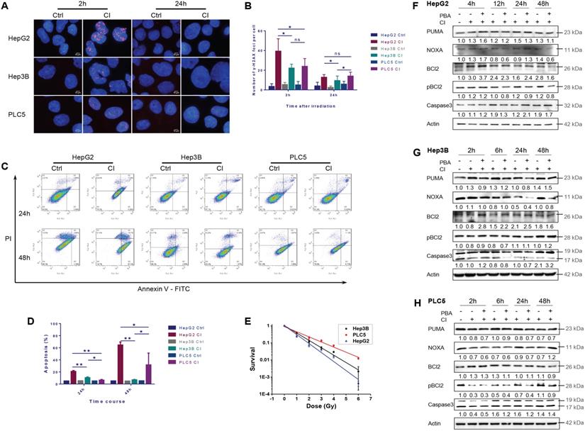 J Cancer Image