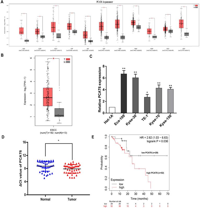 J Cancer Image