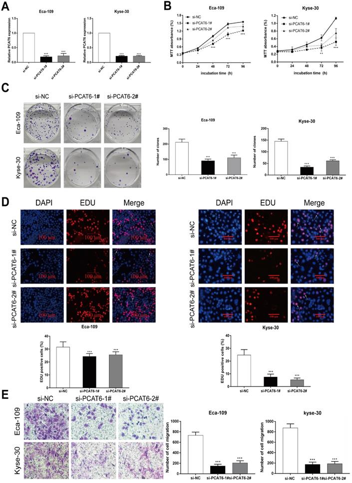 J Cancer Image