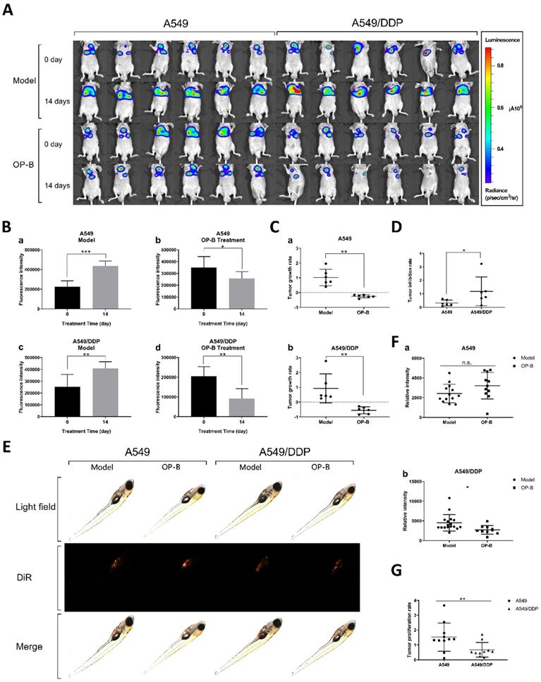 J Cancer Image