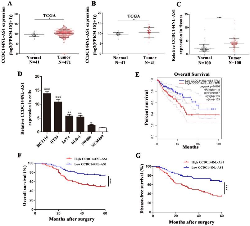 J Cancer Image