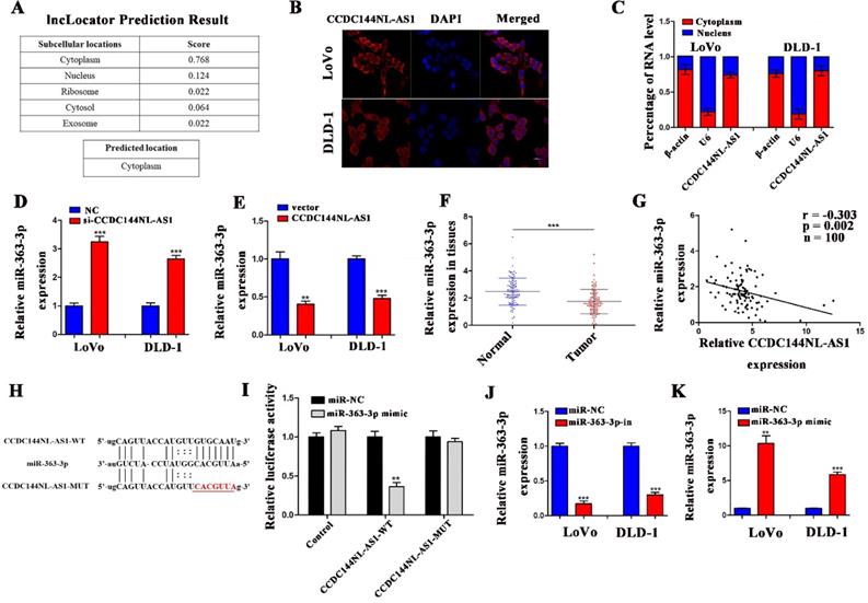 J Cancer Image