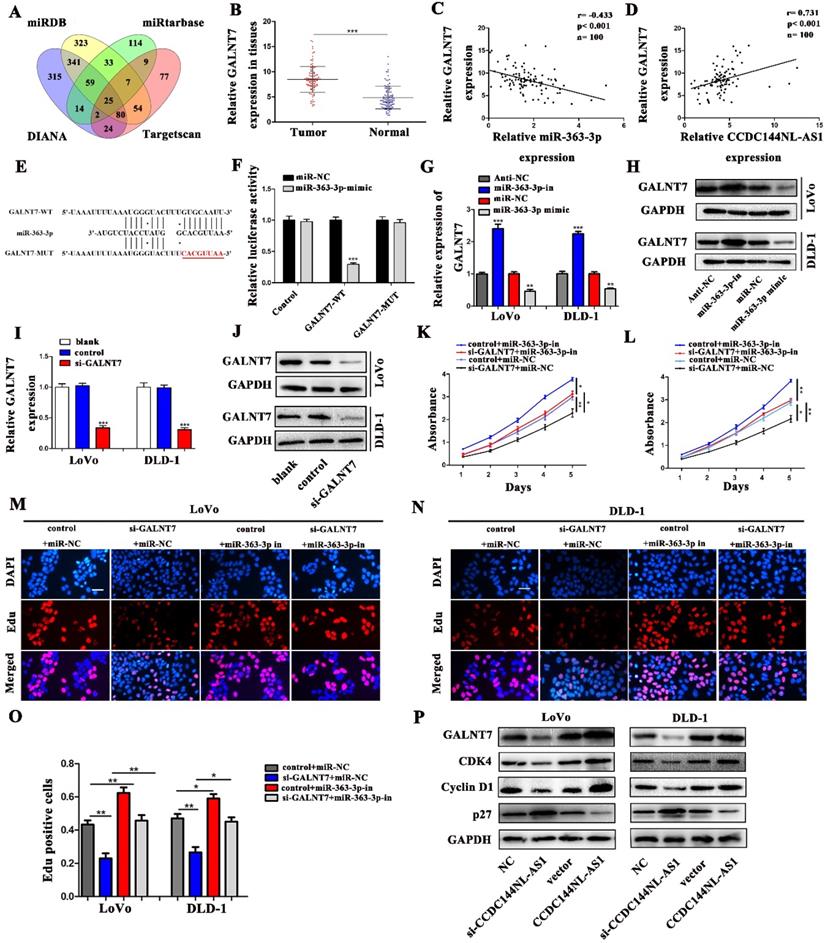 J Cancer Image