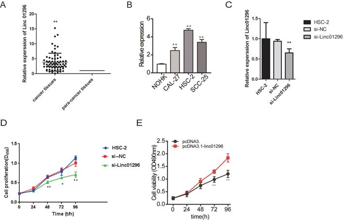 J Cancer Image